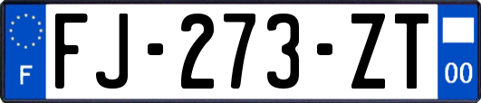 FJ-273-ZT