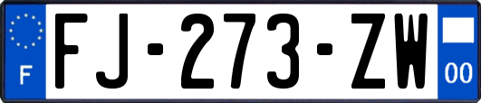 FJ-273-ZW