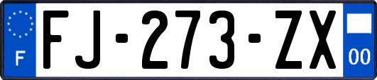 FJ-273-ZX