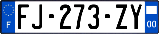 FJ-273-ZY