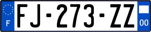 FJ-273-ZZ