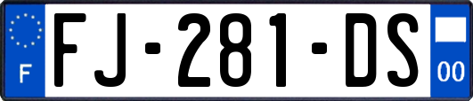 FJ-281-DS