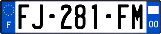 FJ-281-FM