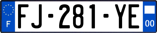 FJ-281-YE