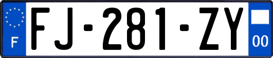 FJ-281-ZY