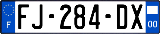 FJ-284-DX