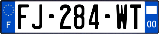 FJ-284-WT