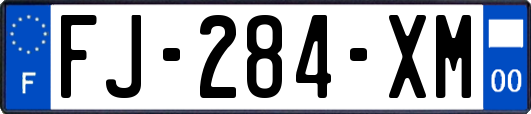 FJ-284-XM