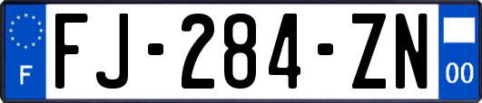 FJ-284-ZN