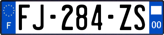 FJ-284-ZS