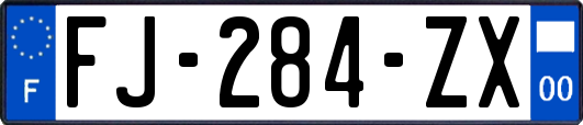 FJ-284-ZX