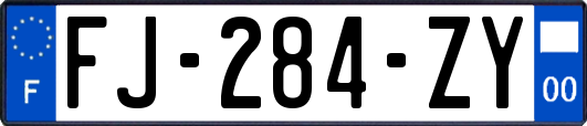 FJ-284-ZY