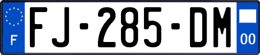 FJ-285-DM