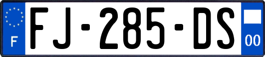 FJ-285-DS
