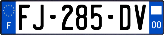 FJ-285-DV