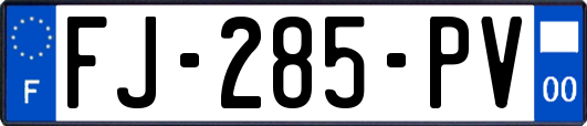 FJ-285-PV