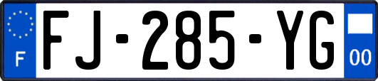 FJ-285-YG