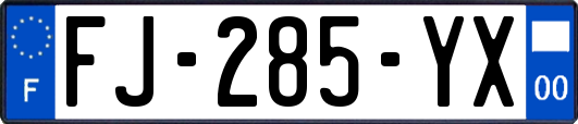 FJ-285-YX