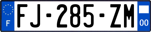 FJ-285-ZM