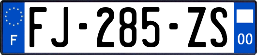 FJ-285-ZS