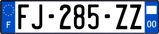 FJ-285-ZZ