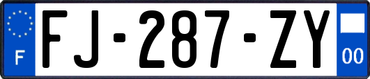 FJ-287-ZY