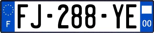 FJ-288-YE