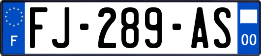 FJ-289-AS