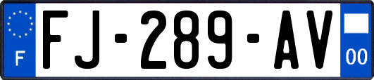 FJ-289-AV