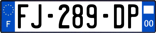 FJ-289-DP