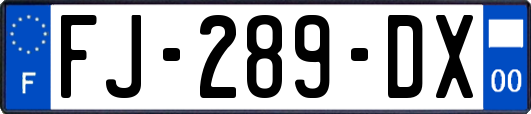 FJ-289-DX