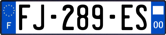 FJ-289-ES