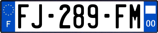 FJ-289-FM