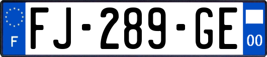 FJ-289-GE