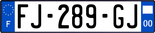 FJ-289-GJ