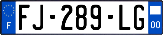 FJ-289-LG