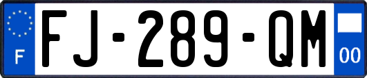 FJ-289-QM