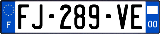 FJ-289-VE