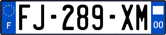 FJ-289-XM