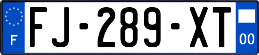 FJ-289-XT