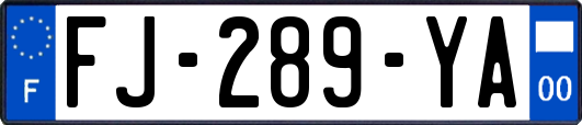 FJ-289-YA