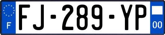 FJ-289-YP