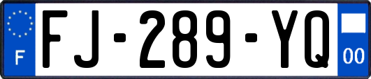 FJ-289-YQ