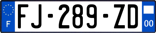 FJ-289-ZD