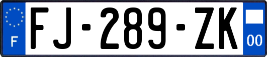 FJ-289-ZK