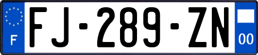 FJ-289-ZN