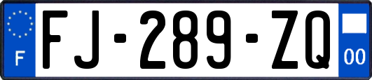 FJ-289-ZQ