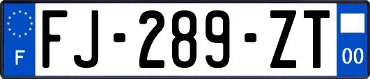 FJ-289-ZT