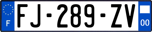 FJ-289-ZV