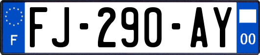 FJ-290-AY